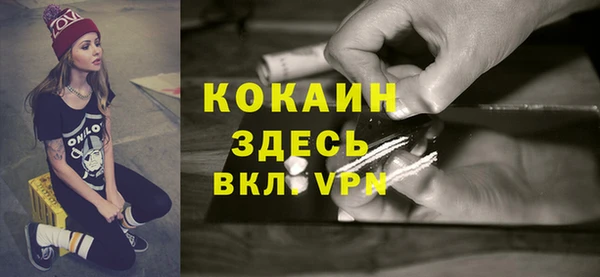 apvp Белокуриха